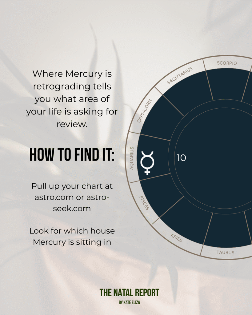 Astrology infographic from The Natal Report showing how to find where Mercury Retrograde falls in your birth chart. Text explains how to use astro.com or astro-seek.com to identify the house Mercury is in. A partial natal chart wheel highlights Mercury retrograde in the 10th House, with zodiac signs including Aquarius, Pisces, Aries, and Taurus. Ideal for astrology beginners learning how Mercury Retrograde affects different life areas.